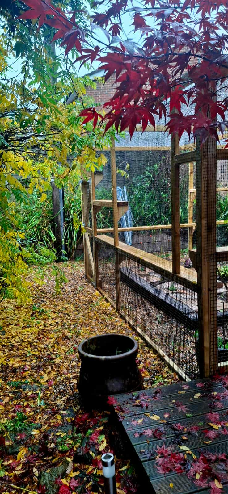 Bespoke Garden Catio | Custom-Built Outdoor Cat Enclosures