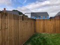 Cat Fencing & Outdoor Cat Safety Systems | Purrrfect Perimeters | Free Quote
