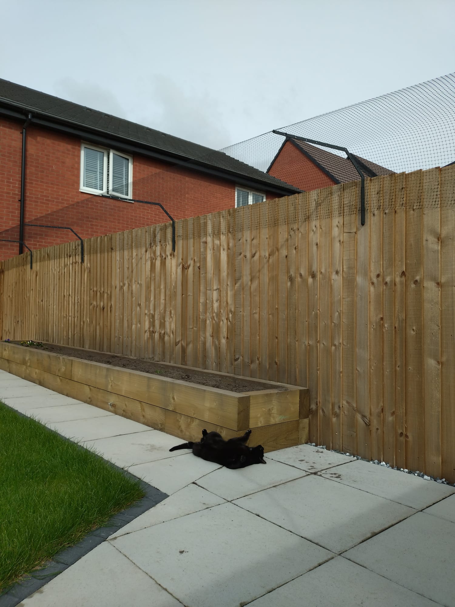 Professional Cat Fence Barrier for Existing Fencing | Custom-Designed Brackets & Mesh System