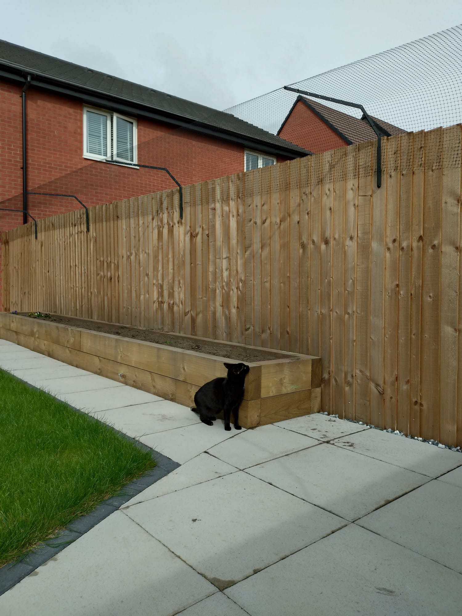 Professional Cat Fence Barrier for Existing Fencing | Custom-Designed Brackets & Mesh System