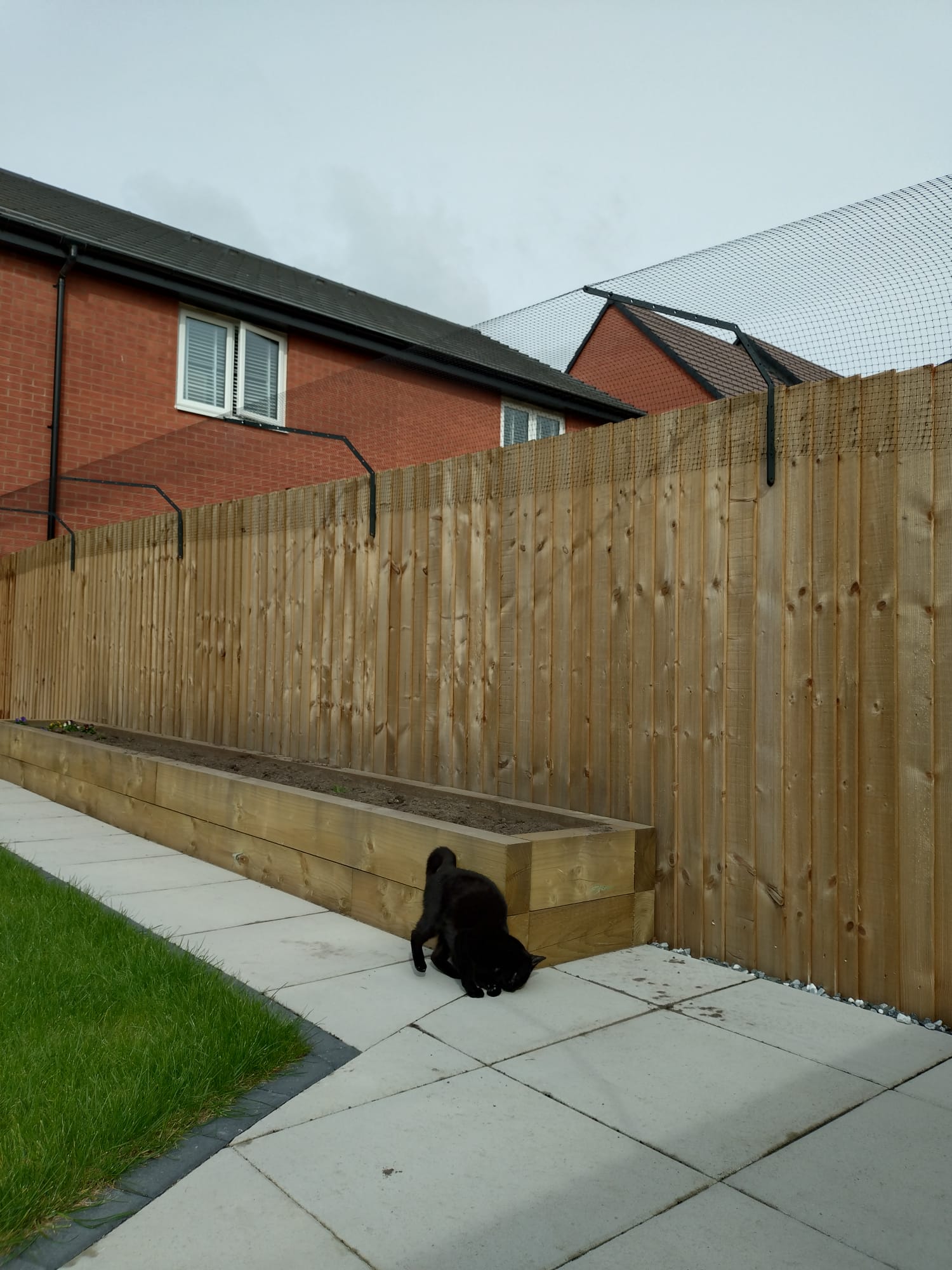 Professional Cat Fence Barrier for Existing Fencing | Custom-Designed Brackets & Mesh System