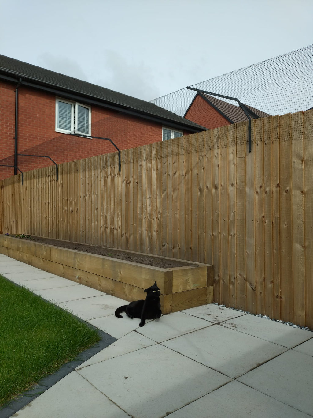 Professional Cat Fence Barrier for Existing Fencing | Custom-Designed Brackets & Mesh System