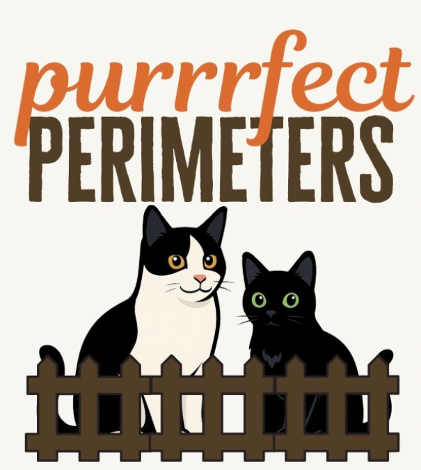 Free Consultation Call