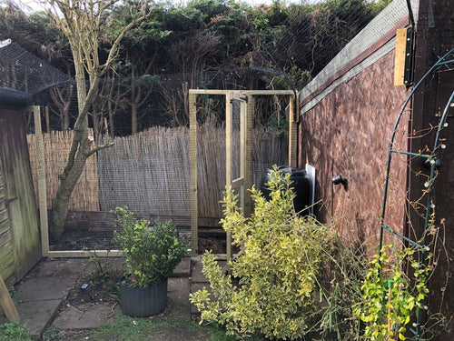 Bespoke Freestanding Cat Fencing System | Independent Garden Boundary for Feline Safety