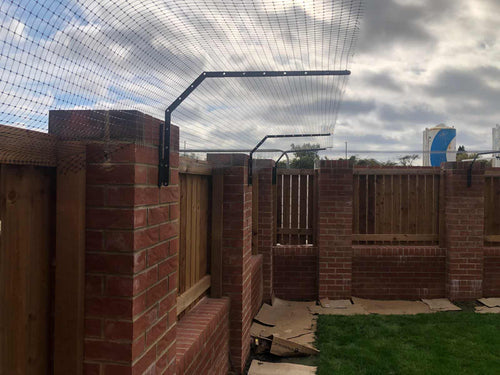 Cat Fencing Installation