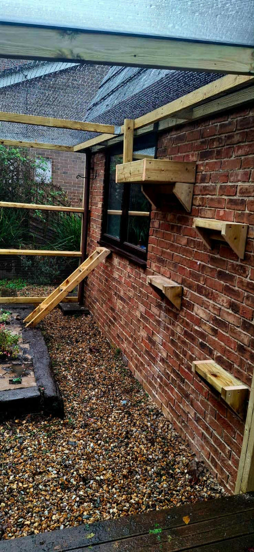 Bespoke Catios UK | Custom Luxury Outdoor Cat Enclosures | Purrrfect Perimeters | Free Quote
